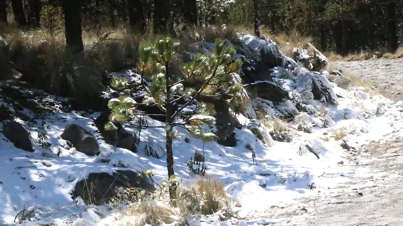 Nevada en el Cofre de Perote